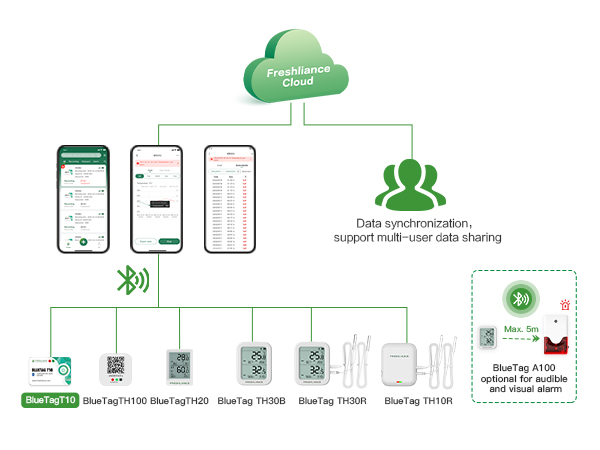 دیتالاگر دمای بلوتوثی BlueTag T10